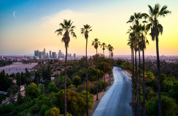 Scenic view of Los Angeles skyline with palm trees and a winding road at sunset.