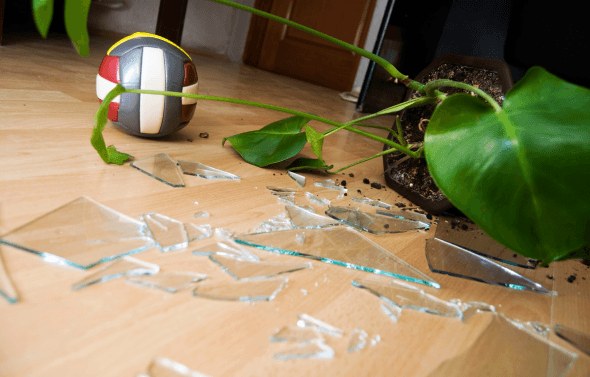 Not every stay is smooth. Unruly guests can damage property, disturb neighbors or ignore your house rules, leading to stressful situations and potential costs. 