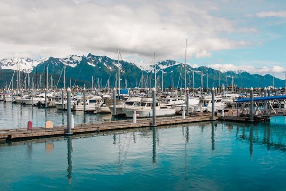 Coastal cities like Seward have specific regulations for short-term rentals, including owner-occupancy rules and permit requirements, to balance the thriving tourism industry with local housing needs.