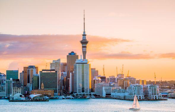 New Zealand sky line during the golden hour.