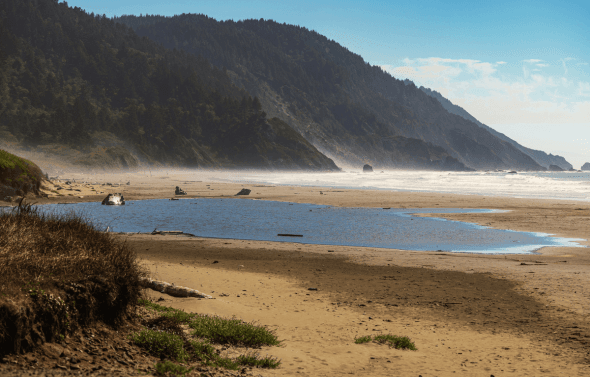 Vacation rental property in Crescent city is prime real estate.  For your vacation home make sure property management involves automation and you collect guest data. Consult a tax professional to find out if you can make any returns on your down payments or mortgage payments when you buy a vacation rental property.