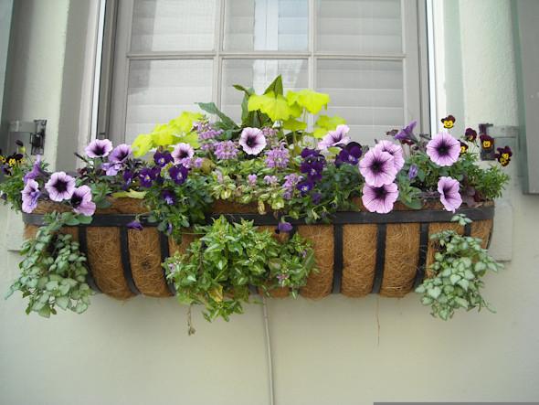 Windows are also an important component of the exterior of your Airbnb, helping to create a welcoming atmosphere and improve its aesthetic appeal.