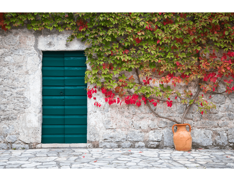 Top Tips to Driving Off-Season Bookings